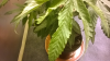 upload_2016-4-23_11-24-26.png