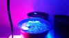 20160424_214602.jpg
