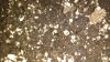 IMG_20160425_154803189.jpg