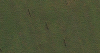field.PNG field.PNG