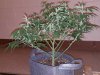 20160427_151843.jpg