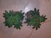 20160427_151955.jpg