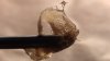 dh-rosin-2.jpg