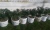 20160429_090214.jpg