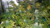 20160426_234906.jpg