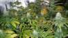 20160426_234859.jpg