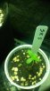20160501_000507.jpg