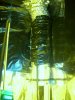 DSCN0103.jpg