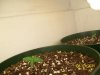 100_0421.jpg