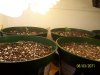 100_0422.jpg