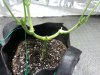 20160502_181926.jpg