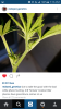 Screenshot_2016-05-02-19-16-02.png