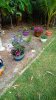 IMG_20160503_0904269_rewind.jpg