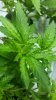 20160503_220818.jpg