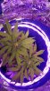 20160504_145943.jpg
