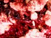 Wed May 04 20-56-50 - Copy.jpg