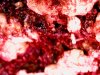 Wed May 04 20-57-00 - Copy.jpg