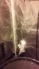 20160505_013039.jpg
