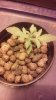 20160505_013128.jpg