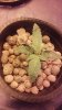 20160505_013121.jpg
