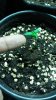 20160504_232547.jpg