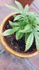 20160505_181620.jpg