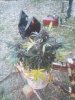 IMG_20160505_200022_noexif.jpg