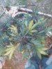IMG_20160505_200101_noexif.jpg