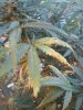 IMG_20160505_200214_noexif.jpg