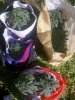 2016-04-18_09-47-22_843.jpg