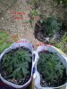 2016-04-18_13-01-44_405.jpg 2016-04-18_13-01-44_405.jpg