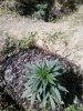 2016-04-21_10-58-35_866.jpg 2016-04-21_10-58-35_866.jpg