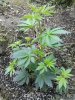 2016-04-30_11-41-02_23.jpg