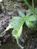2016-05-07_15-26-17_953.jpg