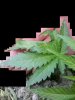 2016-05-07_15-26-40_757.jpg