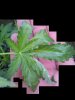 2016-05-07_15-26-51_249.jpg