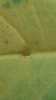 20160508_102028.jpg