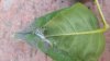 20160508_102309.jpg