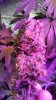 20160506_080851.jpg