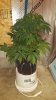 20160509_192314.jpg