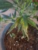 20160509_182534.jpg