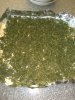 WP_20160510_039.jpg