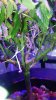 20160510_155502.jpg