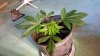 20160510_184642.jpg