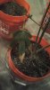 20160510_193438.jpg