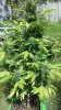 20160511_103817.jpg
