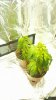 20160511_182437.jpg