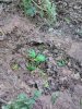 IMG_20160511_191850.jpg