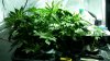 20160512_140906.jpg