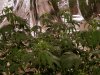20160512_153735.jpg